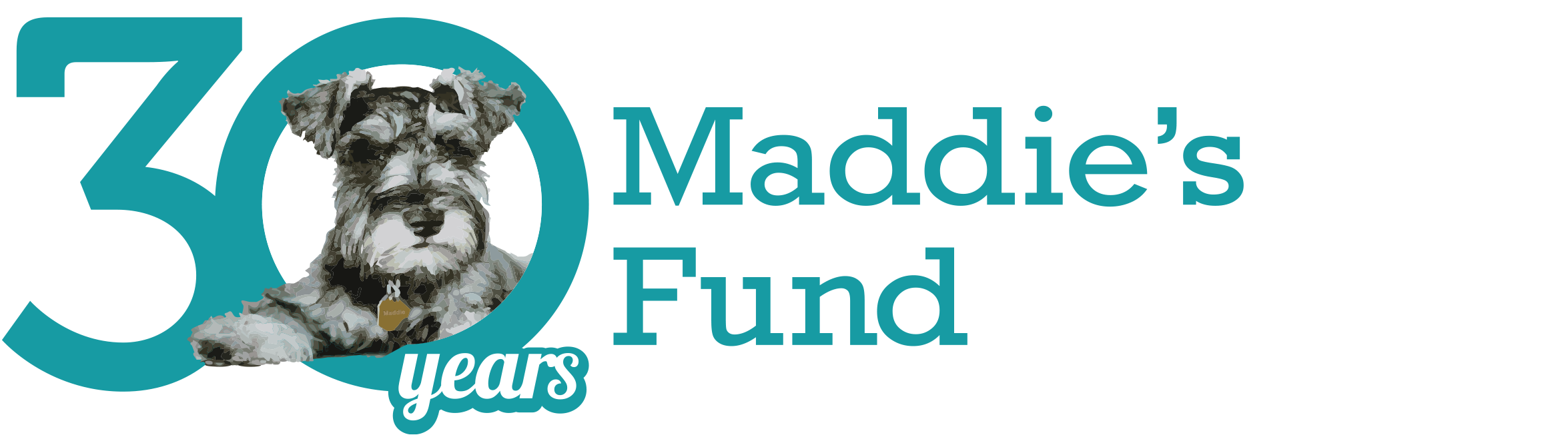 30th-logo-website