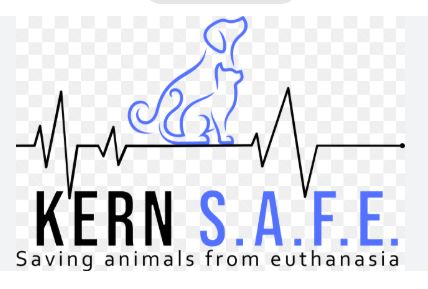Kern SAFE