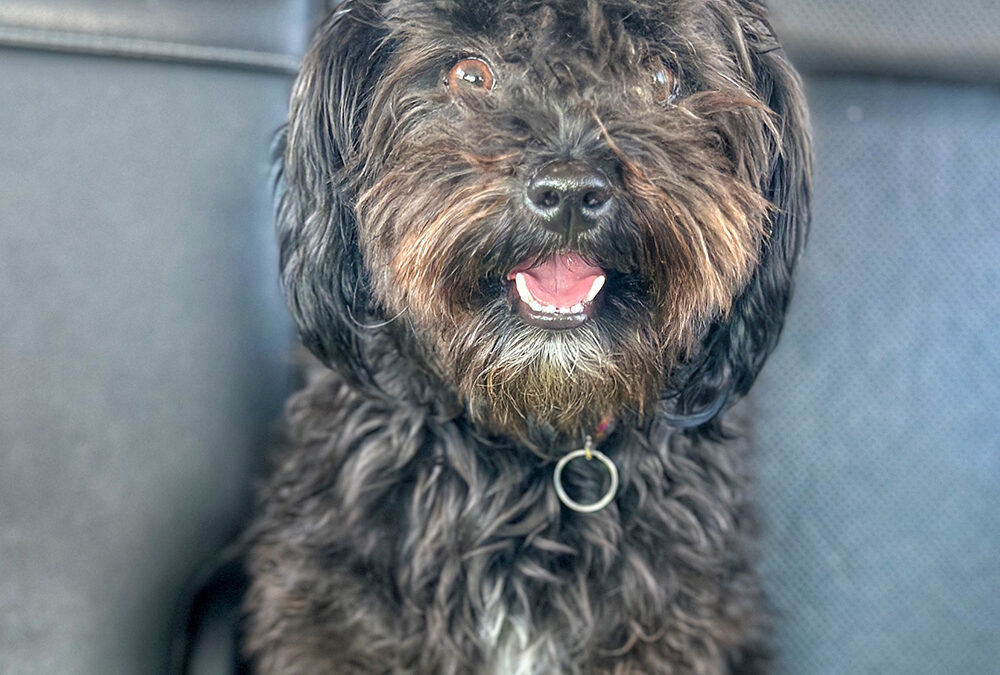 Betty